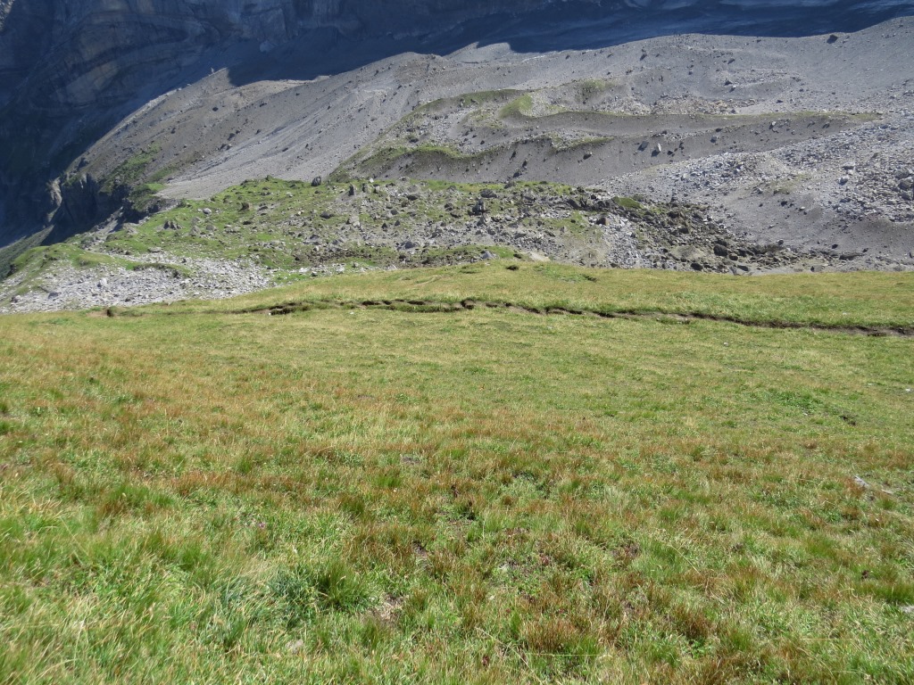 tief unter uns bestaunen wir die langgezogene Furche des Vallon de Nant. 1300 Höhenmeter trennen uns nun zum Pont de Nant