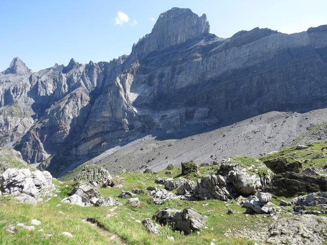 während dem scheinbar endlosen Abstieg, bestaunen wir die senkrechte Felswand des Dent Favre