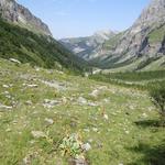 beim Bach Nant des Têtes erreichen wir die nächste Weggabelung, und zugleich endlich den Talboden