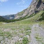 ...durch das Wildromantische Vallon de Nant, das als Naturschutzgebiet einen guten Ruf besitzt, talauswärts zieht