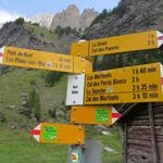 Wegweiser bei der Alphütte bei Nant 1500 m.ü.M.