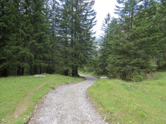 auf einer breiten Schotterstrasse 1380 m.ü.M. wandern wir weiter talauswärts