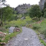 bei La Glacière 1374 m.ü.M. die nächste Weggabelung. Auf der Alpstrasse bleiben, oder rechts in den Wanderweg abbiegen?