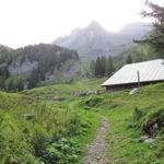 kurze Zeit später stehen wir beim Bauernhof von Le Richard 1537 m.ü.M.