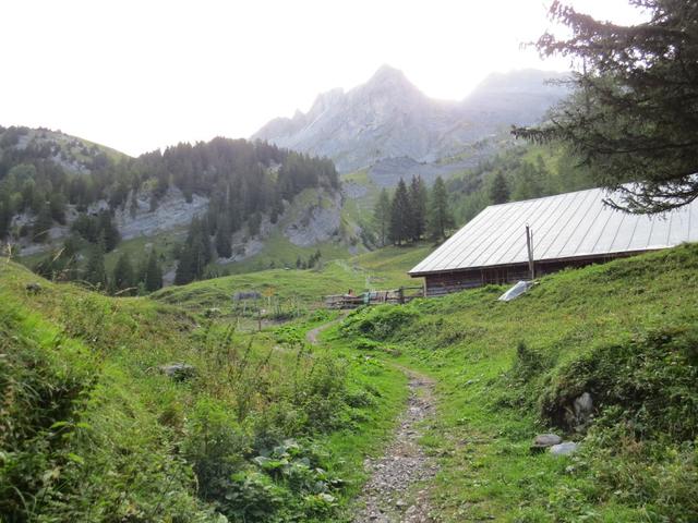 kurze Zeit später stehen wir beim Bauernhof von Le Richard 1537 m.ü.M.