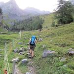 wir bleiben auf dem Wanderweg, biegen rechts ab, und wandern über grüne Alpweiden bergauf