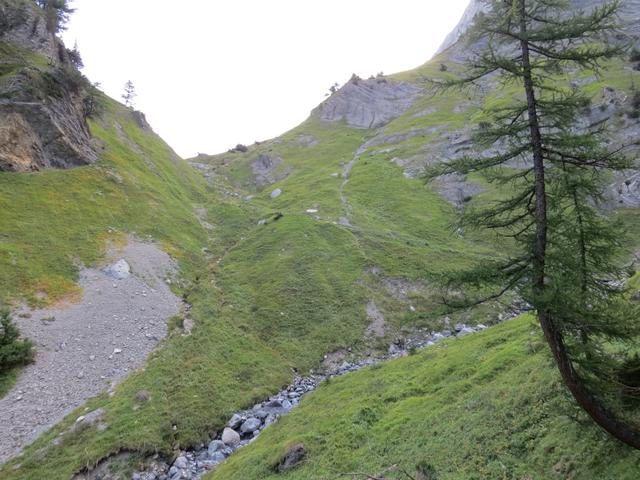 wir bleiben auf dem Hauptweg, überwinden oberhalb der Baumgrenze eine Geländeschwelle...