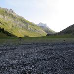 wir laufen über das grosse und lang gestreckte Hochtal...