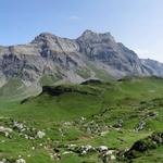 schönes Breitbildfoto mit Blick zu den Les Diablerets. Bei Breitbildfotos nach dem anklicken, immer noch auf Vollgrösse klicke