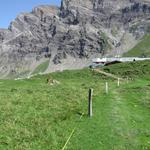 die Alpweiden von Anzeindaz im Blickfeld, geht es leicht abwärts, bis wir die Alpsiedlung von Anzeindaz 1876 m.ü.M. erreichen