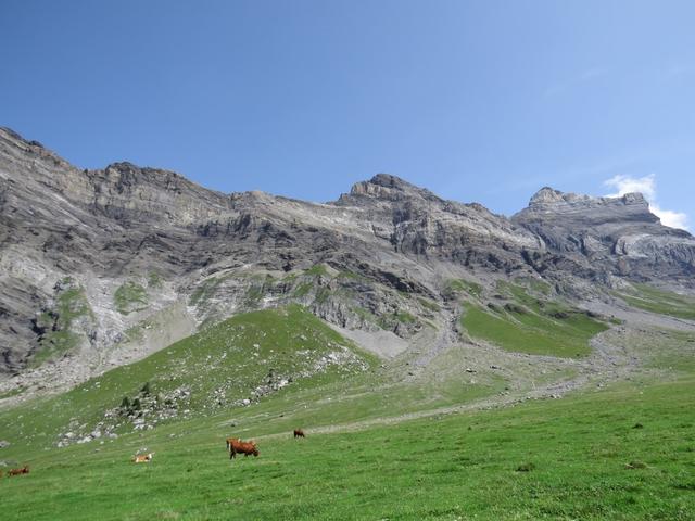 ...zu den gefalteten Felsmassen der Diablerets-Kette zur Linken. Dort oben sind wir auch schon gestanden