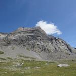 deutlich ist jetzt die grosse Abbruchstelle des Bergsturzes in der imposanten Felswand der Diablerets auszumachen