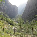 Blick in die Gondoschlucht und Richtung Gondo