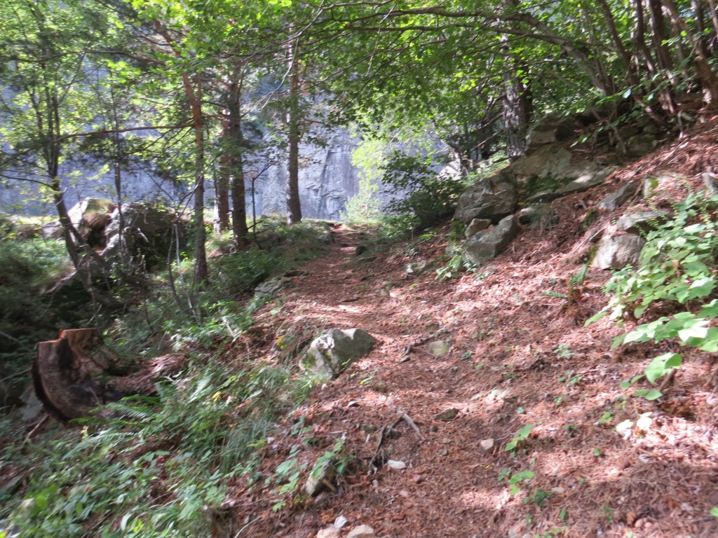 zum Glück geht es zwischendurch durch den schatten spendenden Wald. Die Sonne brennt erbarmungslos