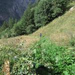 Blick zurück. Hier ist gut ersichtlich wie steil der Bergweg ist. Die Umgebung und die Natur entschädigt einem aber die Strapa