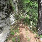 der Fortsetzung des Weges führt in einen tiefen Graben 1407 m.ü.M...