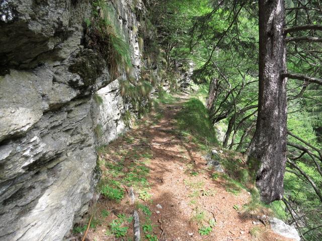 der Fortsetzung des Weges führt in einen tiefen Graben 1407 m.ü.M...