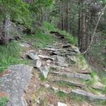 der Wanderweg führt uns bis nach Corwetsch hinauf, durch einen zum Teil dichten Lärchen- und Tannenwald