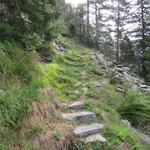 immer wieder ist der alte Bergweg mit Steinplatten wie im Tessin ersichtlich