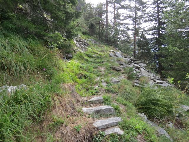 immer wieder ist der alte Bergweg mit Steinplatten wie im Tessin ersichtlich