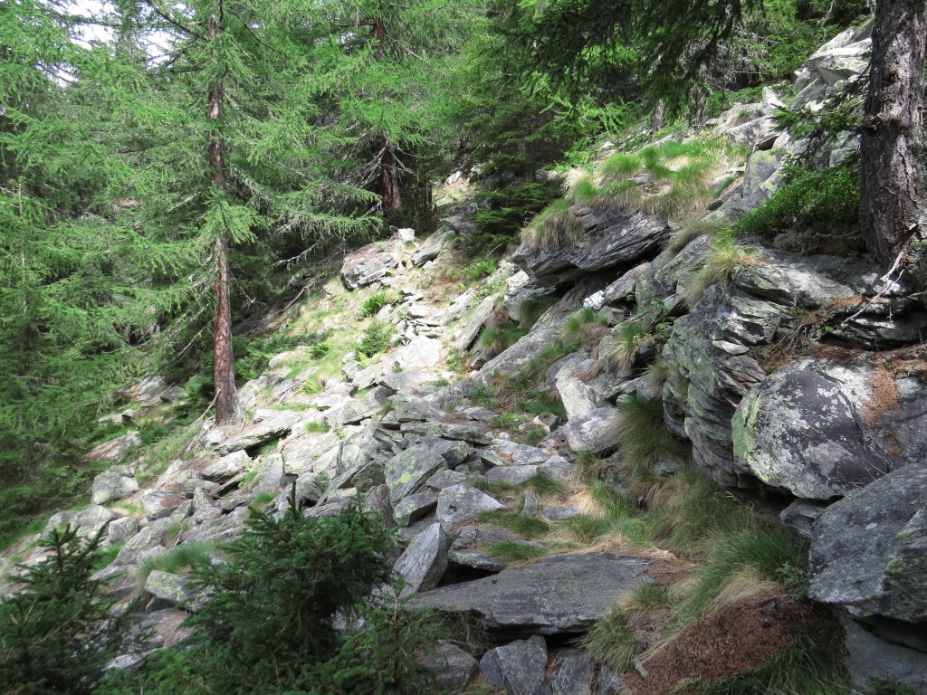 obwohl wir uns meistens im Wald befinden, ist es unglaublich heiss, und darum ein schweisstreibender Aufstieg