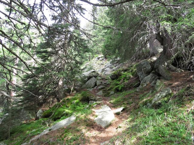 ohne eine Verschnaufpause führt uns der steile, bis sehr steile Wanderweg hinauf nach Corwetsch