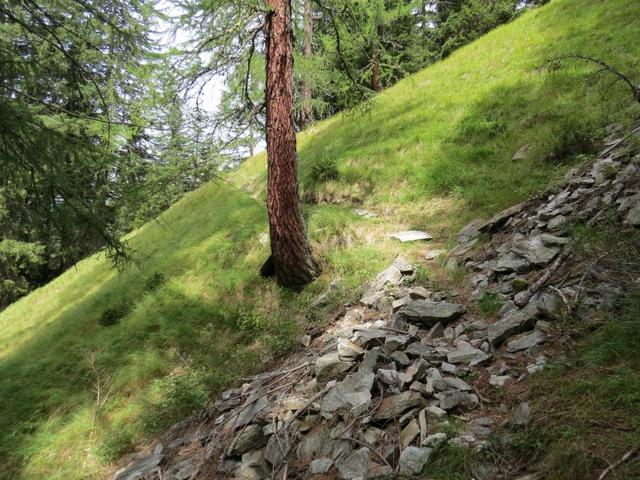 ...führt uns die gutangelegte und schöne Route durch ein noch sehr ursprüngliches Gebiet