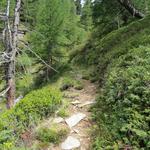 praktisch ohne Unterbruch führt der Wanderweg weiterhin steil aufwärts