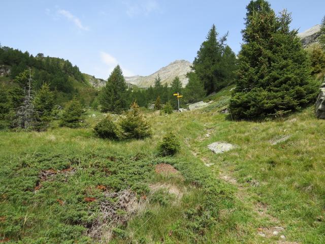 wir verlassen die verfallenen Alphäuser auf der Alp Corwetsch...