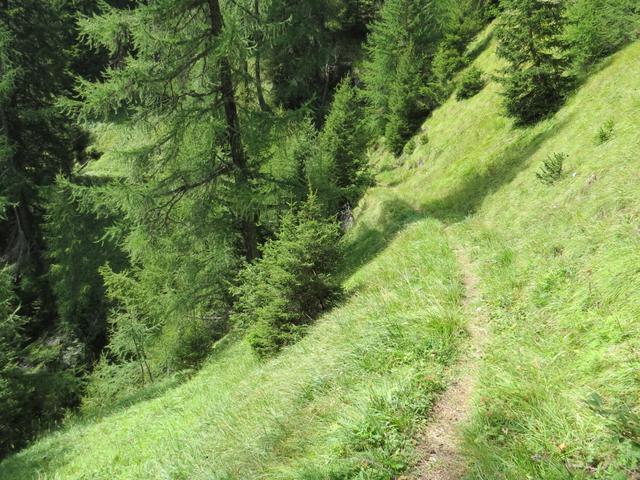 1100 Höhenmeter geht es über so eine schöne Gegend hinunter