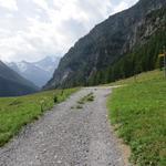 bei Egga 1588 m.ü.M. erreichen wir die Strasse die von Alpjen hinunterzieht