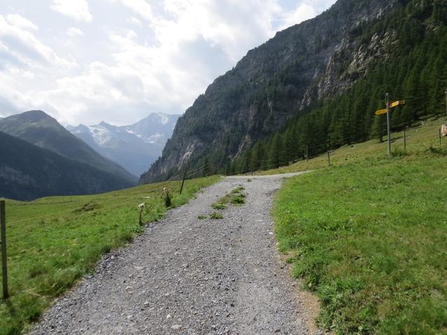 bei Egga 1588 m.ü.M. erreichen wir die Strasse die von Alpjen hinunterzieht
