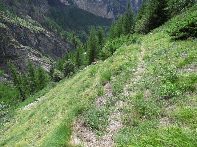 der Wanderweg wird vermutlich nicht mehr unterhalten...