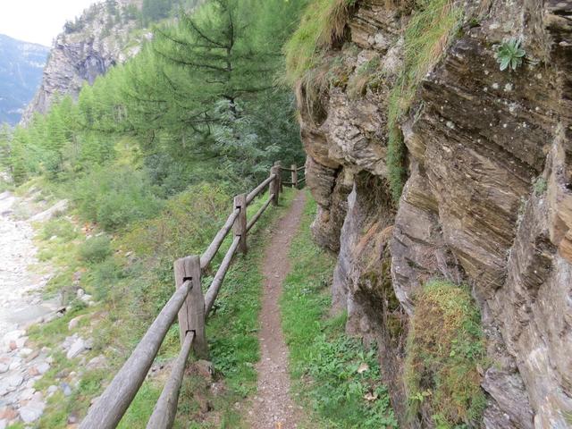 direkt nach der Hängebrücke biegen wir links ab, und wandern nun auf einfachem Wanderweg Richtung Gondo