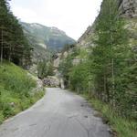 ein kurzes Stück führt uns nun der Wanderweg über die alte Simplonpassstrasse