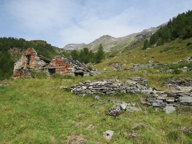 bei den verfallenen Alphäuser auf der Alp Corwetsch 1994 m.ü.M., legen wir unsere verdiente Mittagsrast ein