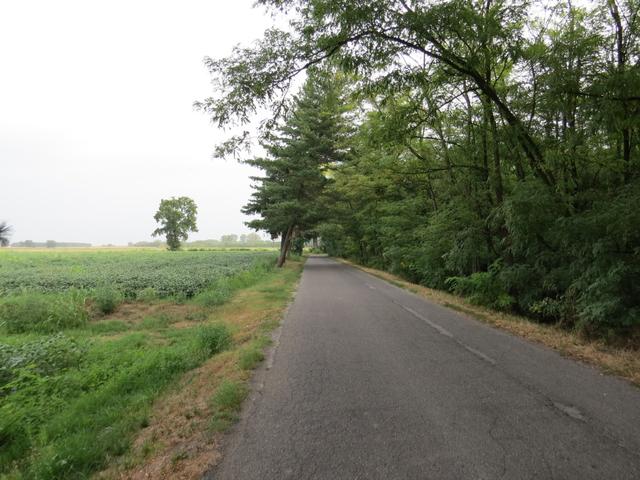 weiter auf Asphaltstrasse geht es nun Richtung Belgioioso