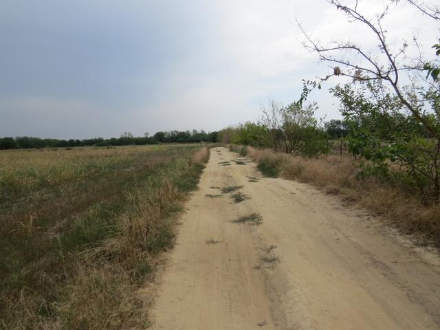 zur Abwechslung laufen wir nun nicht mehr auf eine Asphaltstrasse, sondern auf einen Sandweg