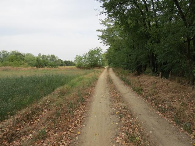 wir nähern uns immer mehr dem Po. Mit einer Länge von 652 km ist er der längste Fluss Italiens