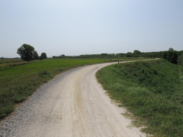 auf dem Damm des Lambro laufen wir weiter Richtung Orio Litta