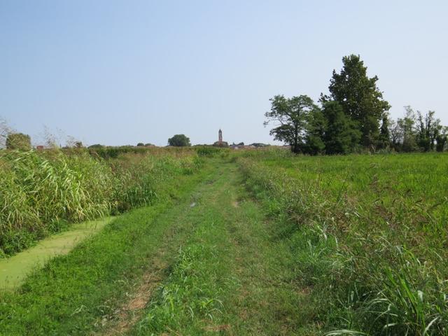 über Felder laufen wir, der Kirchturm immer vor Augen, Richtung Orio Litta