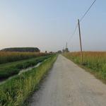 auf dem Weg zum unserer Meinung nach, einer der Höhepunkte der Via Francigena