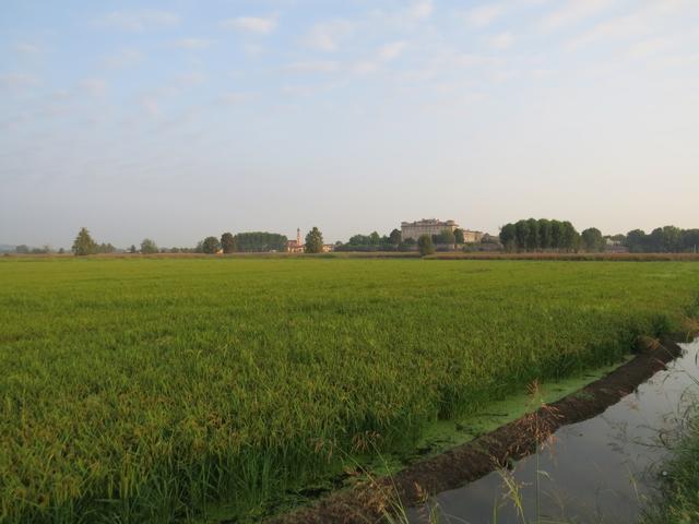 Blick zurück zur Kirche von Orio Litta und zur Villa Litti Carini 