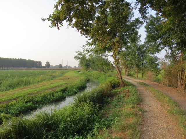 mit grossen Schritten laufen wir zum Höhepunkt des Tages und der Via Francigena, zum Transitum Padi