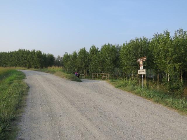 hier biegt nun der Pilgerweg rechts ab zum Transitum Padi