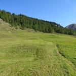 vom Dorf Oberwald steigt der Gommer Höhenweg zuerst in einem Schlenker Richtung Nordosten an...