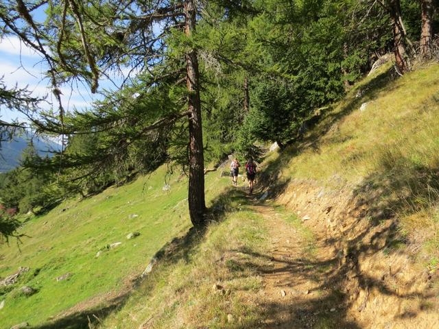 bei Jostegge biegen wir in das kleine Tal des Jostbach hinein...