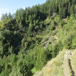 kurz vor Hofstetten schwenkt der Wanderweg wieder in ein Seitental hinein, wo der Milibach überquert wird