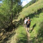 wir wandern durch die sonnenseitige Talflanke über weite Strecken über kleine Wanderwege...