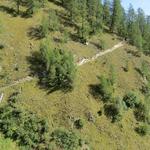 Blick zurück zum Wanderweg, der uns in das Niderbachtal geführt hat